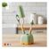 imageUrl_5