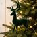 image-856a21d52eb34245bf336f6822c28da6