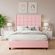 imageUrl_3