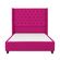 imageUrl_1