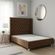imageUrl_3