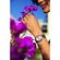 imageUrl_4