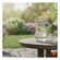 imageUrl_3