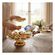 imageUrl_5