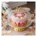 imageUrl_2