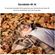 imageUrl_8
