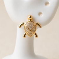 ARETES DE TORTUGA