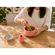 imageUrl_7
