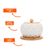 imageUrl_5