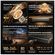 imageUrl_5