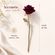 imageUrl_6