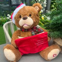 Peluche Oso Libro Musical