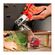 imageUrl_6