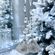 image-1245ec2ffa744c71ad8d4ac8028c0f60