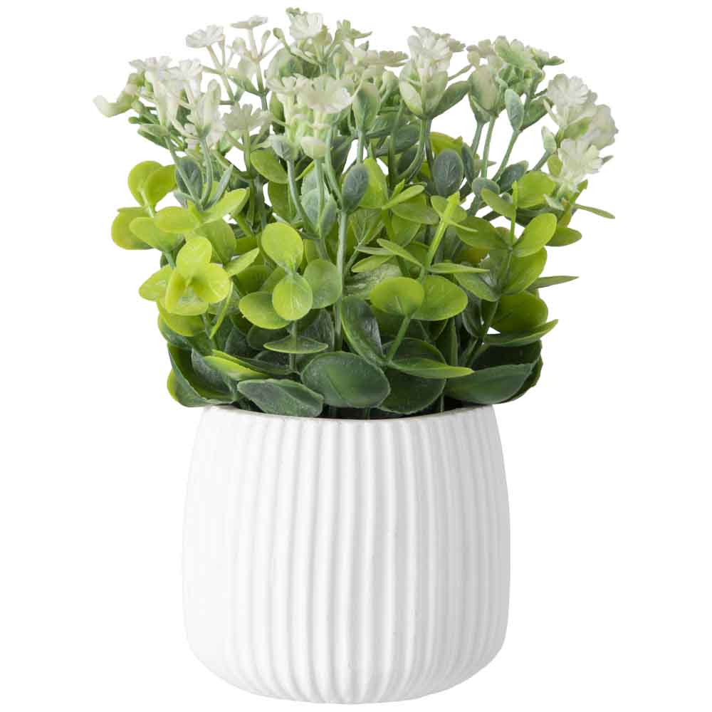 Maceta DECO HOME Blanca C/Plantas Acuarela