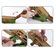 imageUrl_4