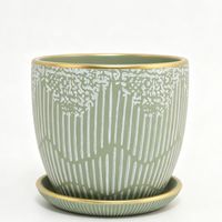 Maceta Verde 14 Cm x 12 Cm