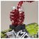 imageUrl_2