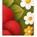 imageUrl_5