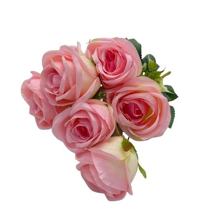imageUrl_1