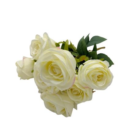 imageUrl_1