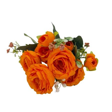 imageUrl_1