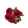 imageUrl_1