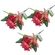 imageUrl_1