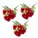 imageUrl_1