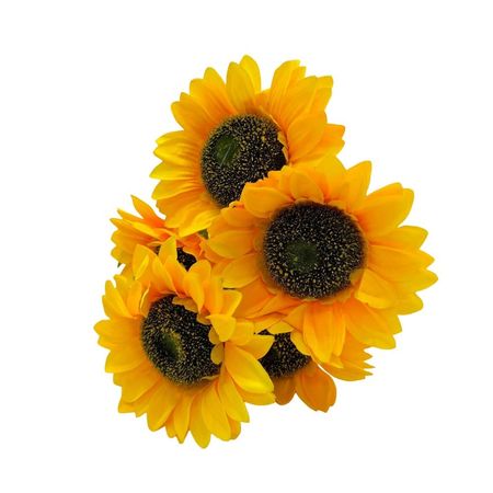 imageUrl_1