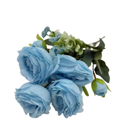 imageUrl_1
