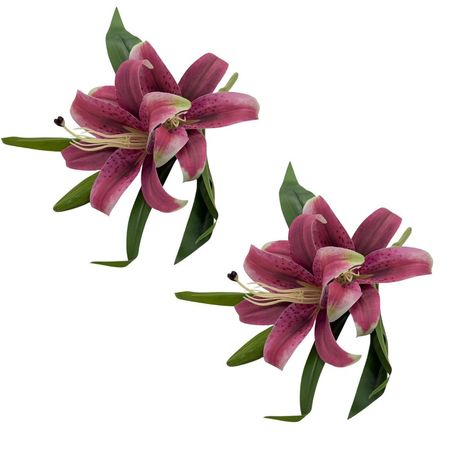 imageUrl_1