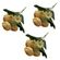 imageUrl_1
