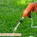 imageUrl_6