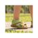 imageUrl_6