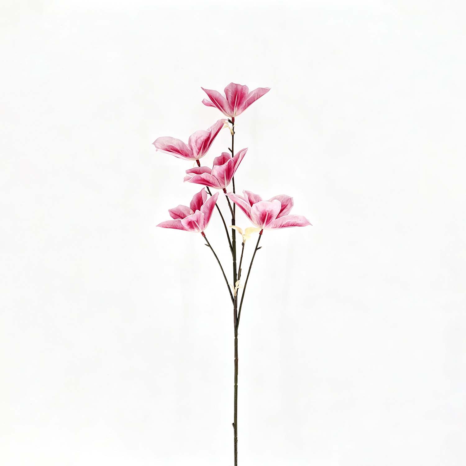 Tulipan Fucsia 77Cm