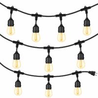 Guirnalda de Luces Vintage 5 Metros 10 Focos Luz Cálida a Corriente