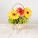 imageUrl_2