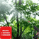 imageUrl_3