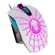 imageUrl_2