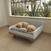 Casa para mascotas Joshua 80x30x60cm Blanco - Masiva Home