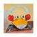 imageUrl_4