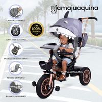 Triciclo Guiador DIVER GOLDEN Diseño Animado Gray