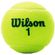 imageUrl_6