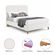 imageUrl_6