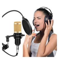 MICROFONO DE ESTUDIO PROFESIONAL CON BRAZO ARTICULADO PARA GRABACION Y STREAMING COLOR NEGRO