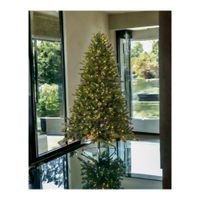 Árbol de Navidad Verde de 1.80m con Luces y 1016 Ramos LED AM180