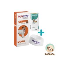 PACK Antipulgas Bravecto para Perros de 4.5 a 10 Kg más 1 Tableta de Endal Plus más 1 Plato Bravecto