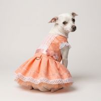 VESTIDO MELON TERNURA Talla XXS - MODA PARA MASCOTAS