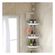 imageUrl_5